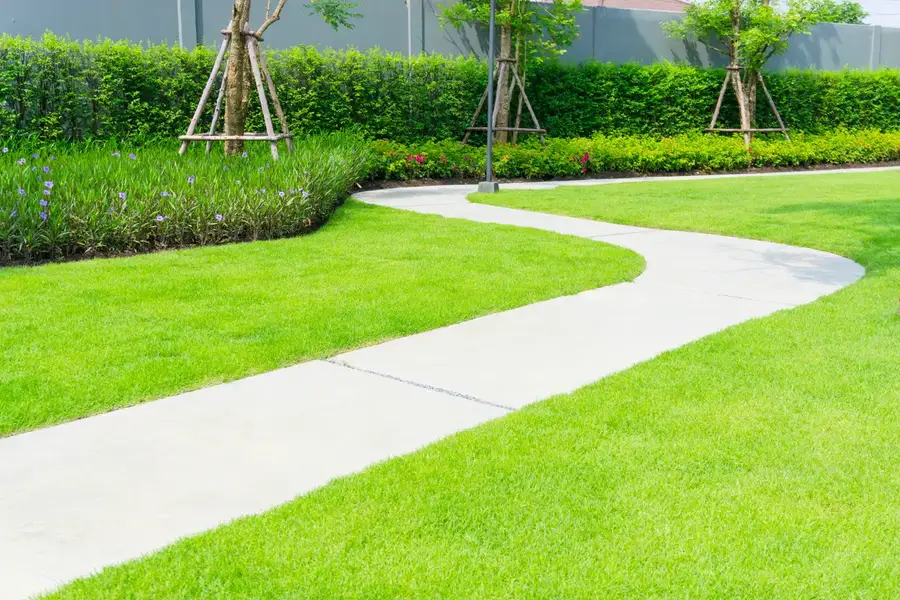 Common Causes Of Concrete Sidewalk Cracks And Solutions Knoxville, TN Common Causes Of Concrete Sidewalk Cracks And Solutions Knoxville, TN