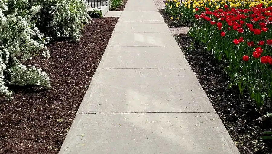 How To Identify Early Signs Of Concrete Sidewalk Damage in Knoxville, TN